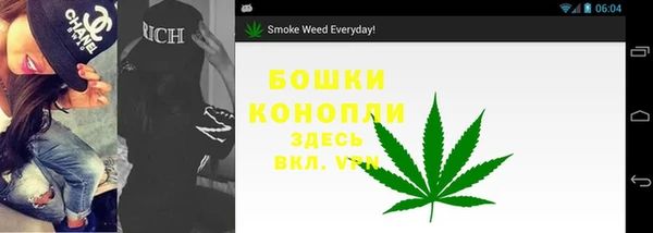 сатива Абдулино