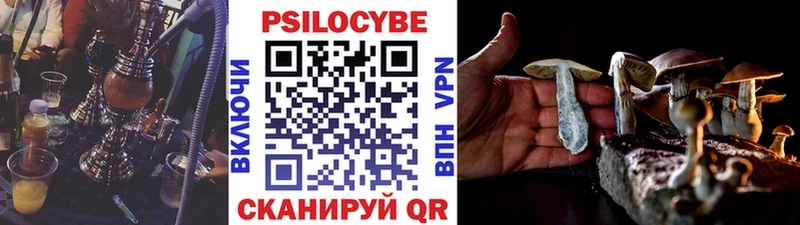KRAKEN зеркало  Тихорецк  Галлюциногенные грибы Psilocybe 